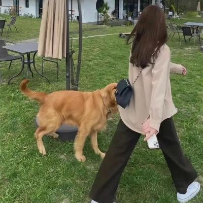 假冒女团